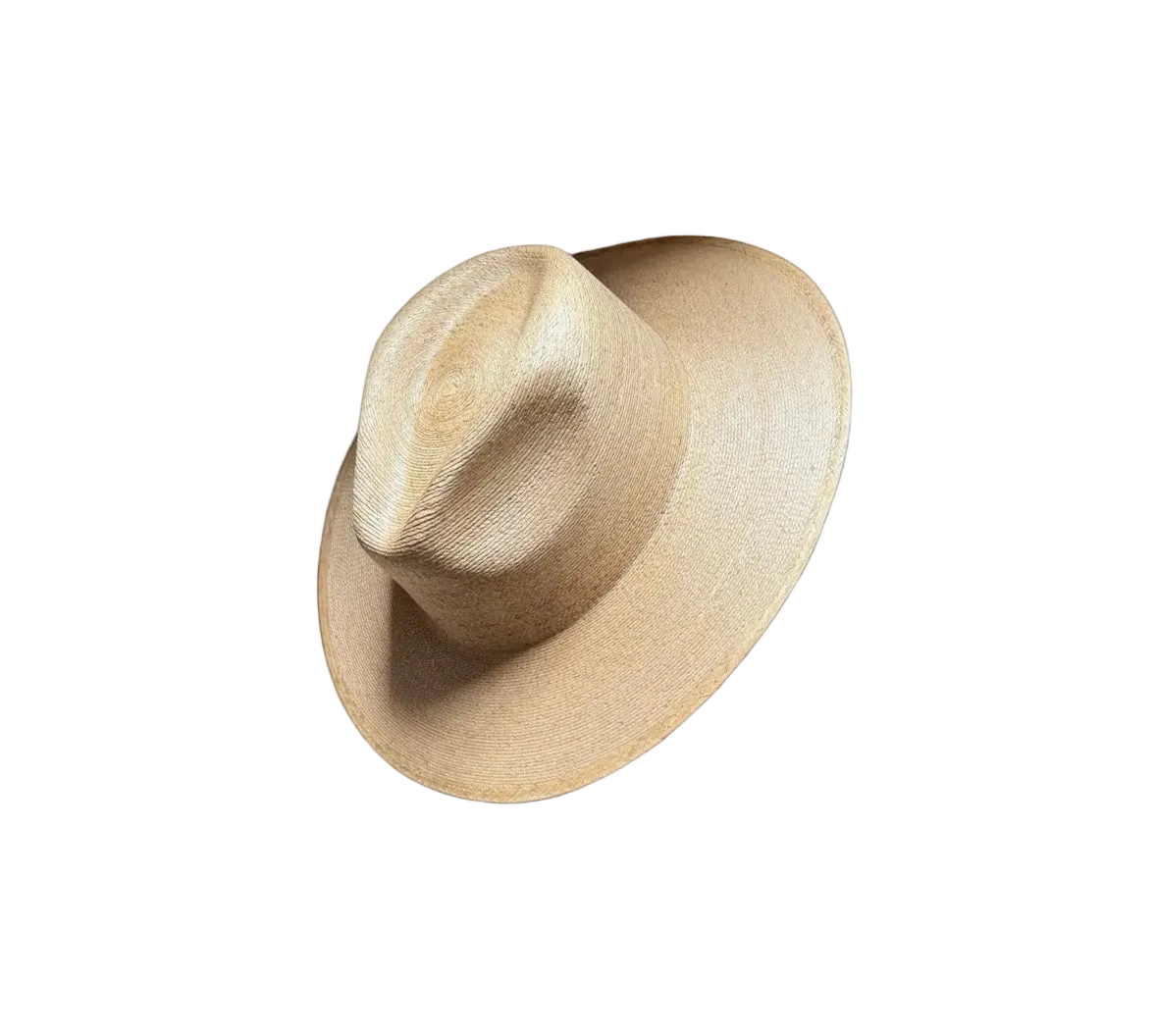 Toasted Fine Palm- 10cm